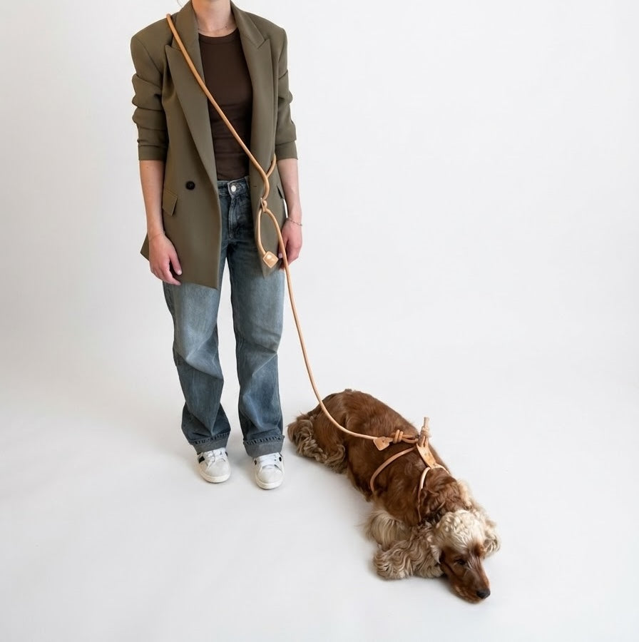 Ensemble harnais + laisse multiposition - Marron cognac